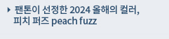팬톤이 선정한 2024 올해의 컬러, 피치 퍼즈 peach fuzz