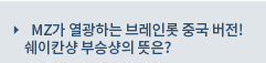 MZ가 열광하는 브레인롯 중국 버전! 쉐이칸샹 부승샹의 뜻은? 